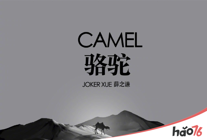 薛之谦新歌《骆驼》无损高音质在线播放_薛之