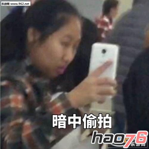 虹桥一姐表情包下载_虹桥一姐表情包完整版下载图片