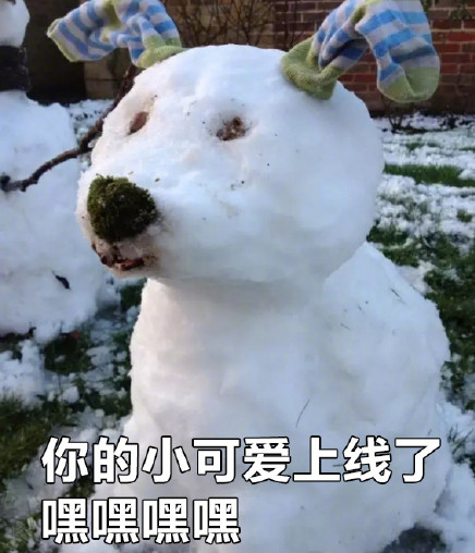 雪人堆得不正經是什麼梗_雪人堆得不正經表情包無水印_hao76手遊網