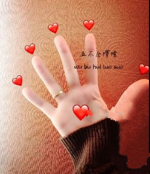 抖音手语表白图片教程