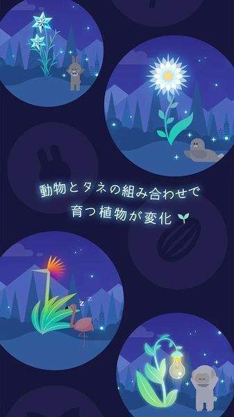 夜之森