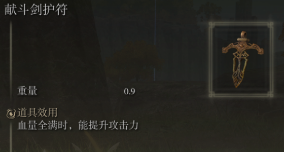 《艾尔登法环》全护符实际效果盘点