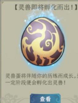 一起来修仙玄冥宫怎么样 一起来修仙玄冥宫玩法攻略
