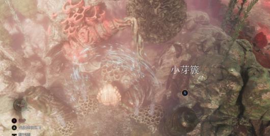 33号远征队白色经怪芽簇任务流程攻略